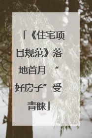 《住宅项目规范》落地首月 “好房子”受青睐