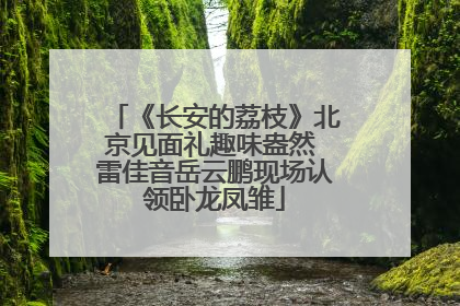 《长安的荔枝》北京见面礼趣味盎然 雷佳音岳云鹏现场认领卧龙凤雏