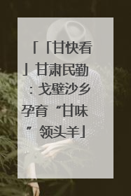 「甘快看」甘肃民勤：戈壁沙乡孕育“甘味”领头羊