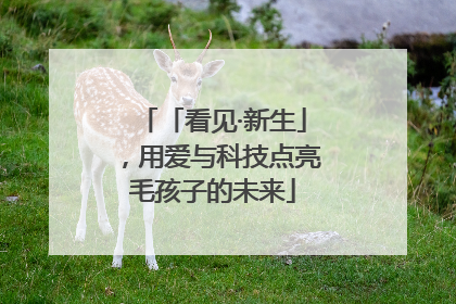 「看见·新生」，用爱与科技点亮毛孩子的未来