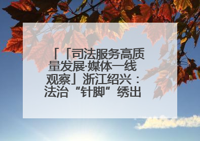 「司法服务高质量发展·媒体一线观察」浙江绍兴：法治“针脚”绣出纺织新天地
