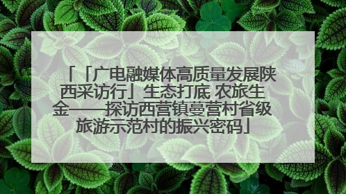 「广电融媒体高质量发展陕西采访行」生态打底 农旅生金——探访西营镇蔓营村省级旅游示范村的振兴密码