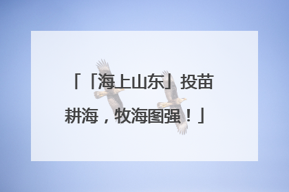 「海上山东」投苗耕海，牧海图强！