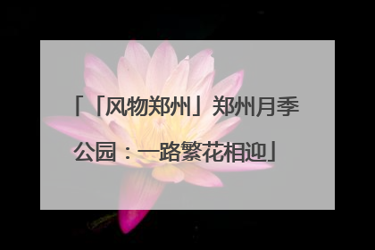 「风物郑州」郑州月季公园：一路繁花相迎
