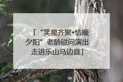 “笑星齐聚•情暖夕阳”老龄慰问演出走进乐山马边县