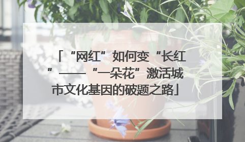 “网红”如何变“长红”——“一朵花”激活城市文化基因的破题之路