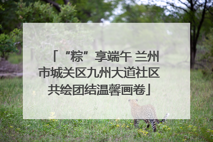 “粽”享端午 兰州市城关区九州大道社区共绘团结温馨画卷