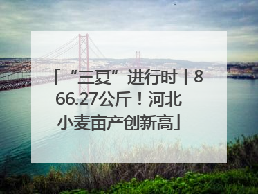 “三夏”进行时丨866.27公斤！河北小麦亩产创新高