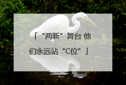 “两新”舞台 他们永远站“C位”