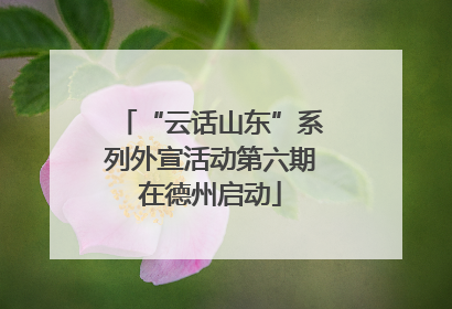 “云话山东”系列外宣活动第六期在德州启动