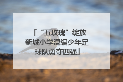 “五玫瑰”绽放 新城小学混编少年足球队勇夺四强