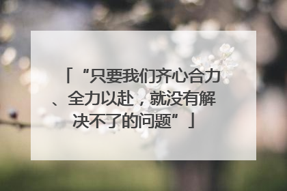 “只要我们齐心合力、全力以赴，就没有解决不了的问题”
