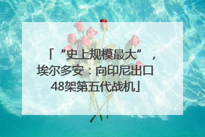 “史上规模最大”，埃尔多安：向印尼出口48架第五代战机