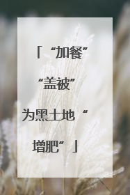 “加餐”“盖被” 为黑土地“增肥”