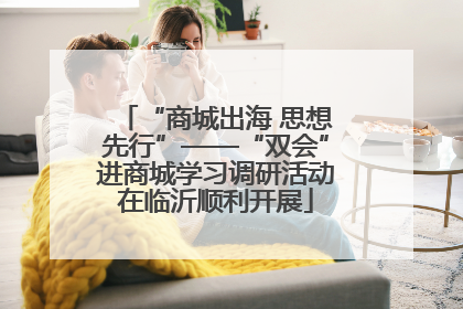 “商城出海 思想先行”——“双会”进商城学习调研活动在临沂顺利开展