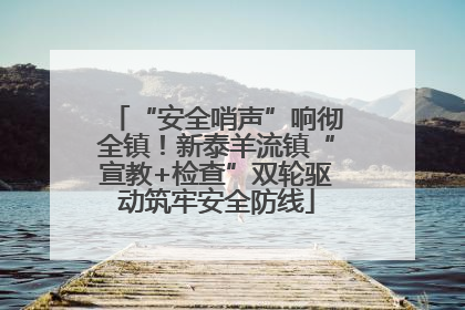 “安全哨声”响彻全镇！新泰羊流镇“宣教+检查”双轮驱动筑牢安全防线