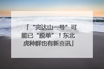 “完达山一号”可能已“脱单”！东北虎种群也有新喜讯