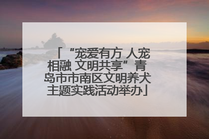 “宠爱有方 人宠相融 文明共享”青岛市市南区文明养犬主题实践活动举办