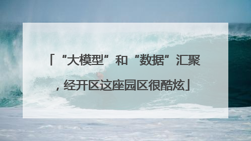 “大模型”和“数据”汇聚，经开区这座园区很酷炫