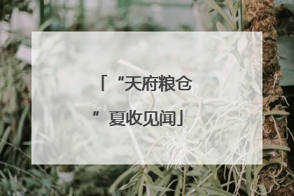“天府粮仓”夏收见闻