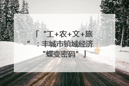 “工+农+文+旅”：丰城市镇域经济“蝶变密码”
