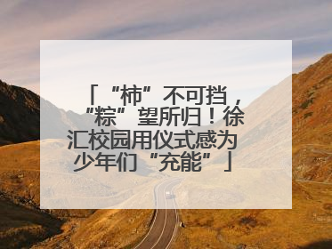 “柿”不可挡，“粽”望所归！徐汇校园用仪式感为少年们“充能”