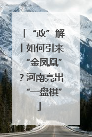 “政”解丨如何引来“金凤凰”？河南亮出“一盘棋”