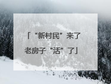 “新村民”来了 老房子“活”了