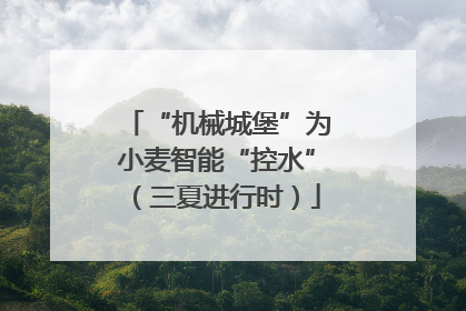 “机械城堡”为小麦智能“控水”（三夏进行时）