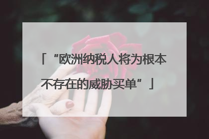 “欧洲纳税人将为根本不存在的威胁买单”
