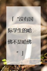 “没有国际学生的哈佛不是哈佛”
