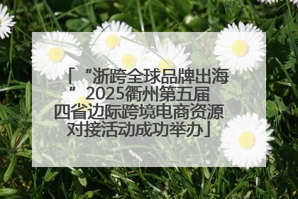 “浙跨全球品牌出海”2025衢州第五届四省边际跨境电商资源对接活动成功举办