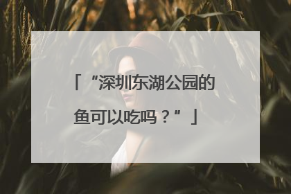 “深圳东湖公园的鱼可以吃吗？”