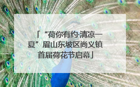“荷你有约·清凉一夏”眉山东坡区尚义镇首届荷花节启幕