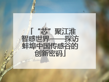 “芯”聚江淮 智感世界——探访蚌埠中国传感谷的创新密码