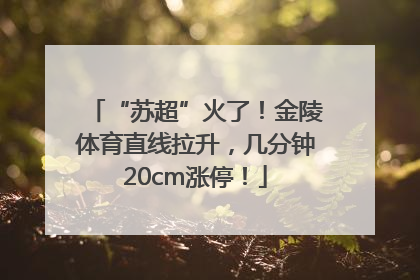 “苏超”火了！金陵体育直线拉升，几分钟20cm涨停！