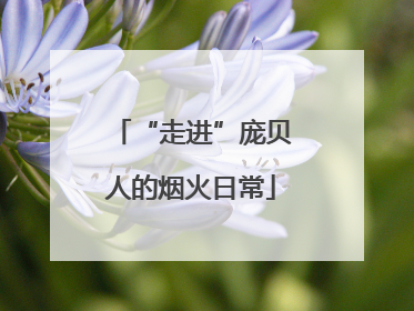 “走进”庞贝人的烟火日常