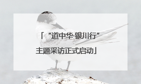 “道中华·银川行”主题采访正式启动