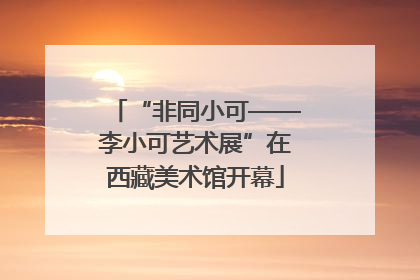 “非同小可——李小可艺术展”在西藏美术馆开幕