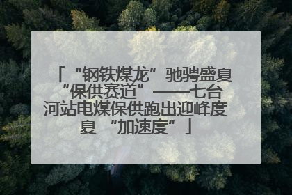 “钢铁煤龙”驰骋盛夏 “保供赛道”——七台河站电煤保供跑出迎峰度夏 “加速度”