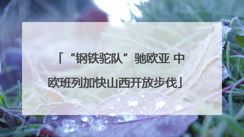 “钢铁驼队”驰欧亚 中欧班列加快山西开放步伐