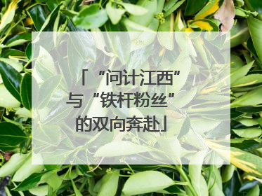 “问计江西”与“铁杆粉丝”的双向奔赴