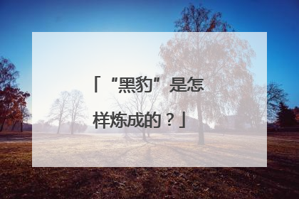 “黑豹”是怎样炼成的？