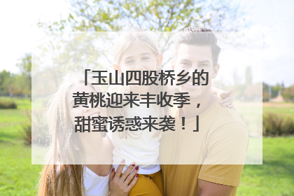 玉山四股桥乡的黄桃迎来丰收季，甜蜜诱惑来袭！