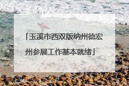 玉溪市西双版纳州德宏州参展工作基本就绪