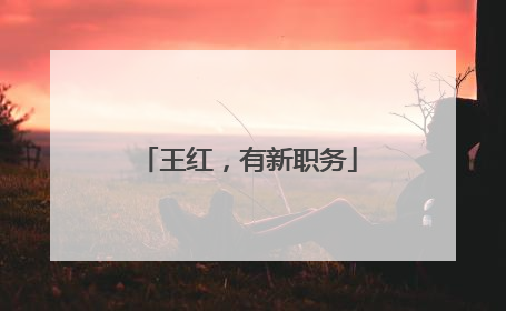 王红，有新职务