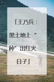 王乃兵：黑土地上“种”出红火日子