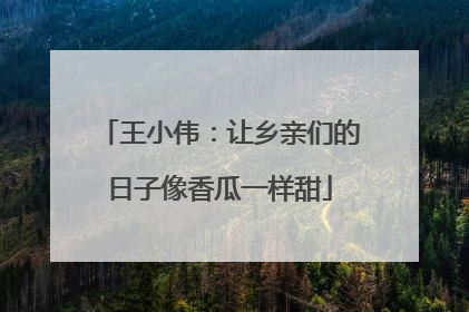 王小伟：让乡亲们的日子像香瓜一样甜