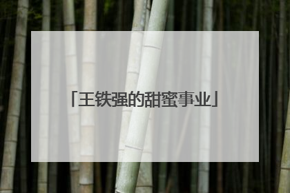 王铁强的甜蜜事业