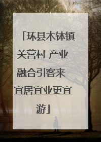环县木钵镇关营村 产业融合引客来 宜居宜业更宜游